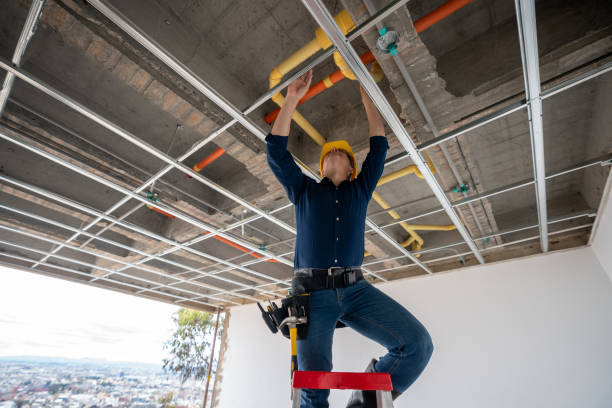 Best Leak Detection Services  in Willow Grove, TX