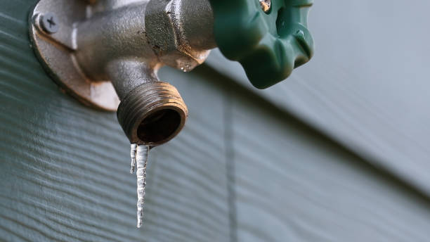 Best 24-Hour Plumber Near Me  in Willow Grove, TX